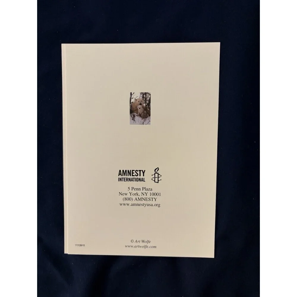 Seasons Greetings Card with White Envelope | Polar Bear design | By Amnesty Intl
